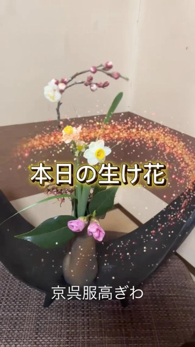 本日のお花便り。💐
この色、この形、
自然の造形美にはいつも驚かされます。
画面越しに、
少しでも癒やしとパワーが届きますように！
今日も良い一日を✨

#栃木市 #振袖レンタル #生け花