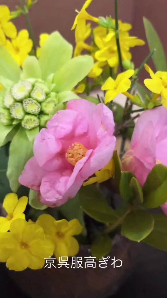 ふと見上げた空の色が変わり、
お店に届く花も春の装いになりました🌸
今日は「ふきのとう、侘助など」をいけてます。

お近くにお越しの際は、
ぜひこの小さな季節を見にいらしてください。

#生け花　#栃木市 #振袖レンタル #呉服店