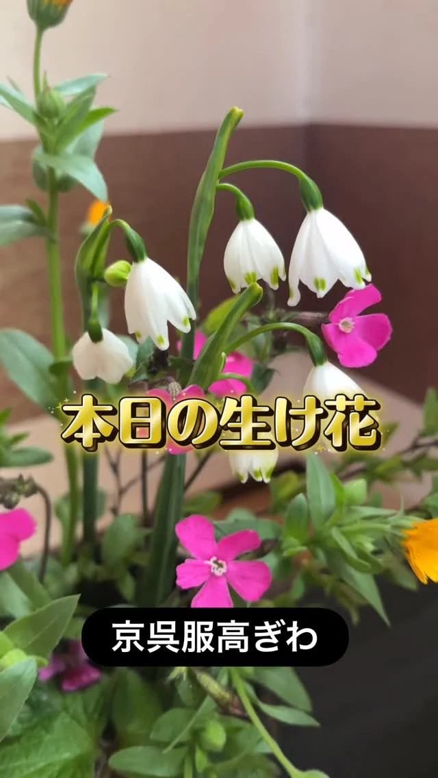 本日の生け花です🌸
飾るだけで、お店の空気がシャキッとするから不思議です。眺めているだけで、なんだかパワーをもらえる気がします。ほっと一息つきたい時に、ぜひ覗きにきてくださいね😊

#栃木市 #振袖レンタル #生け花