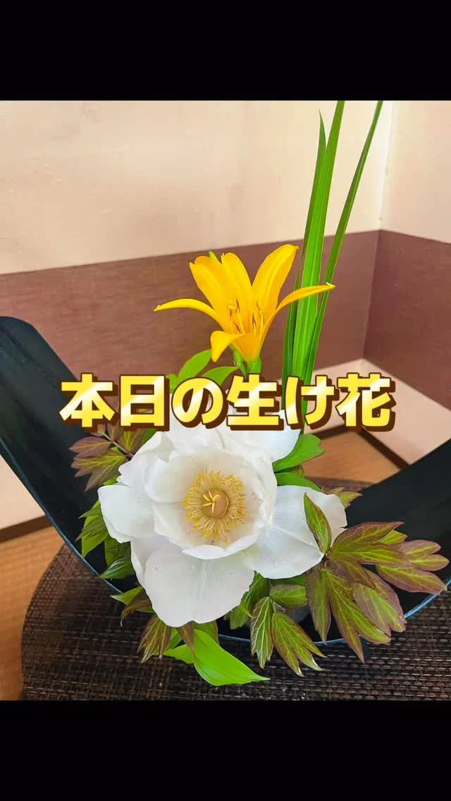 本日のお迎え花です🌸
今回は日光キスゲと白牡丹です。
お客様に少しでもリフレッシュしていただけるよう、
心を込めて生けました。
「着物屋さんは少し敷居が高いかも…」と感じている方も、ぜひお気軽に覗いてみてください。
美しい花と色とりどりの反物と一緒に、
皆様とお話しできるのを楽しみにしております。
お近くにお越しの際は、
ひと休みしにいらしてくださいね。

#栃木市 #振袖レンタル #振袖 #着物